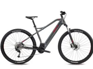 BH Atom 29